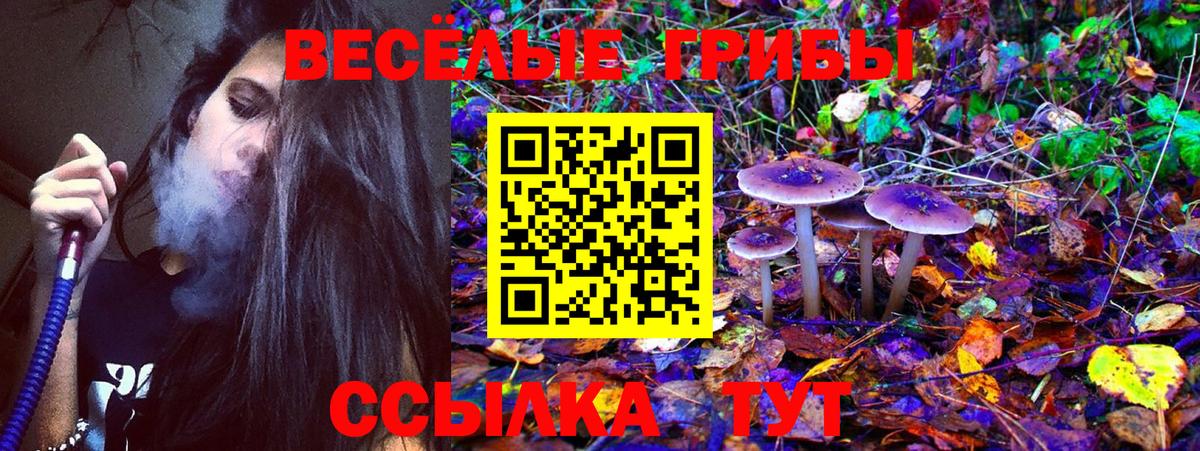 Псилоцибиновые грибы Cubensis  Вход с VPN  Псилоцибиновые грибы GOLDEN TEACHER  Минеральные Воды 